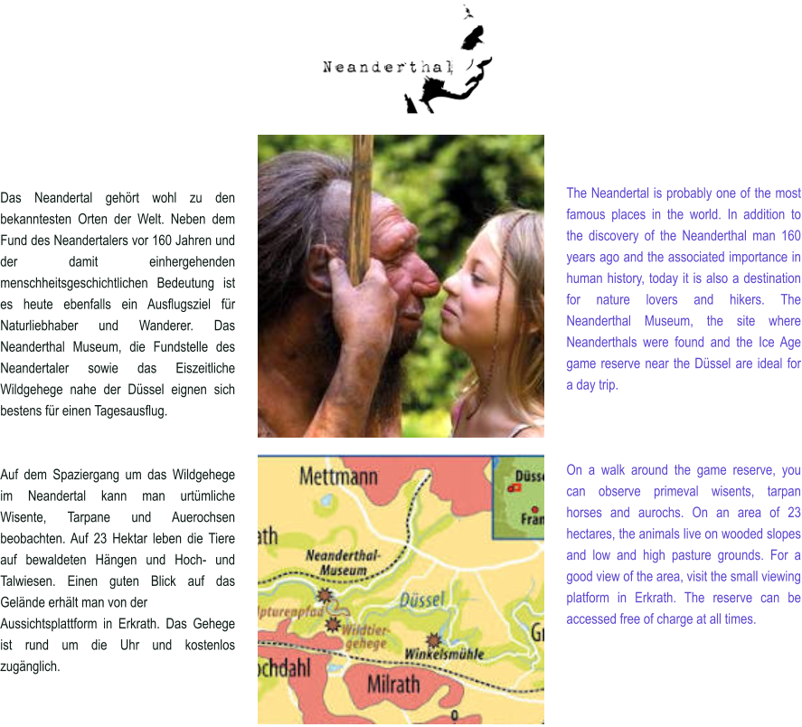 Das Neandertal gehört wohl zu den bekanntesten Orten der Welt. Neben dem Fund des Neandertalers vor 160 Jahren und der damit einhergehenden menschheitsgeschichtlichen Bedeutung ist es heute ebenfalls ein Ausflugsziel für Naturliebhaber und Wanderer. Das Neanderthal Museum, die Fundstelle des Neandertaler sowie das Eiszeitliche Wildgehege nahe der Düssel eignen sich bestens für einen Tagesausflug.   Auf dem Spaziergang um das Wildgehege im Neandertal kann man urtümliche Wisente, Tarpane und Auerochsen beobachten. Auf 23 Hektar leben die Tiere auf bewaldeten Hängen und Hoch- und Talwiesen. Einen guten Blick auf das Gelände erhält man von der Aussichtsplattform in Erkrath. Das Gehege ist rund um die Uhr und kostenlos zugänglich.  The Neandertal is probably one of the most famous places in the world. In addition to the discovery of the Neanderthal man 160 years ago and the associated importance in human history, today it is also a destination for nature lovers and hikers. The Neanderthal Museum, the site where Neanderthals were found and the Ice Age game reserve near the Düssel are ideal for a day trip.    On a walk around the game reserve, you can observe primeval wisents, tarpan horses and aurochs. On an area of 23 hectares, the animals live on wooded slopes and low and high pasture grounds. For a good view of the area, visit the small viewing platform in Erkrath. The reserve can be accessed free of charge at all times.